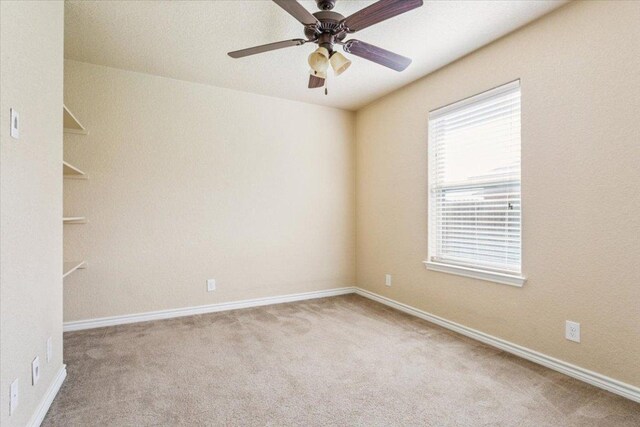 503 W Gemini Ln, Killeen, TX 76542 - photo 22