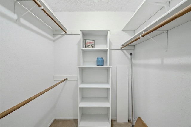 8210 Bent Tree Rd Unit 115, Austin, TX 78759 - spacious closet with carpet flooring