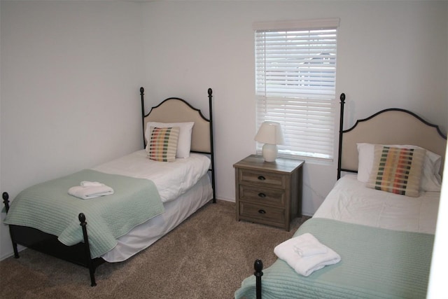 bedroom with carpet floors and multiple windows