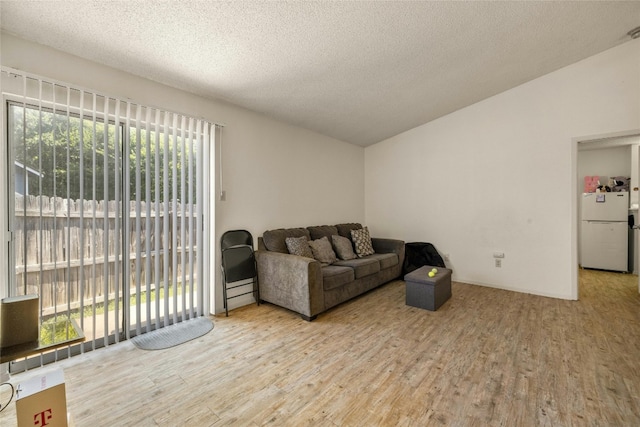 living room with light wood-style flooring, vaulted ceiling, and a wealth of natural light