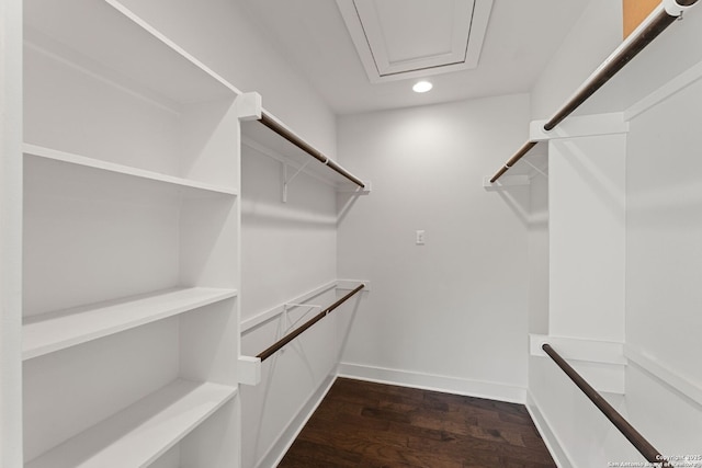 5922 Keller Rdg, New Braunfels, TX 78132 - walk in closet with dark wood-style flooring