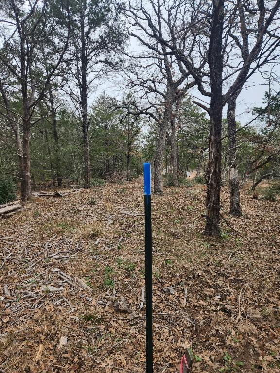 00 Milam Ln, Bastrop, TX 78602 - photo 8