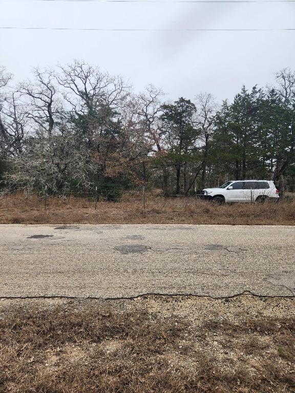 00 Milam Ln, Bastrop, TX 78602 - photo 2