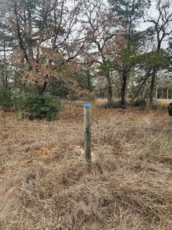 00 Milam Ln, Bastrop TX, 78602 land for sale