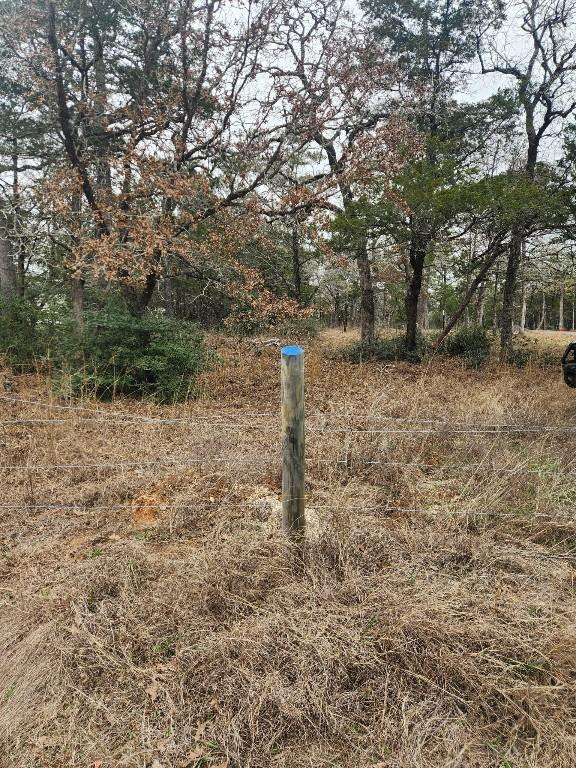 00 Milam Ln, Bastrop, TX 78602 - photo 1