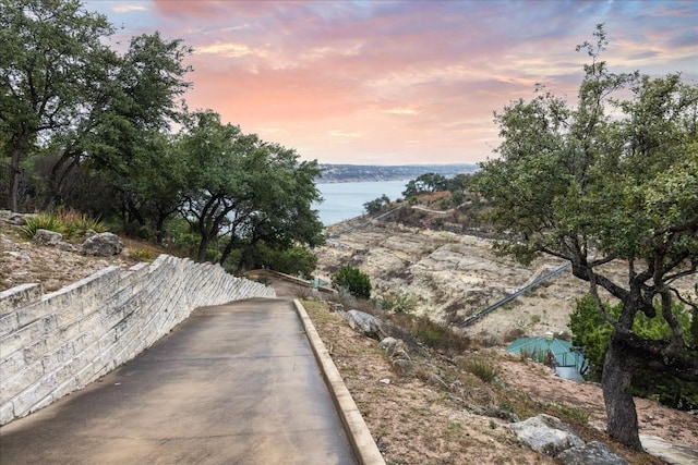 17813 Kingfisher Ridge Dr, Lago Vista, TX 78645 - water view