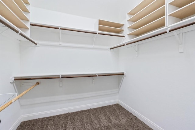 spacious closet featuring carpet flooring