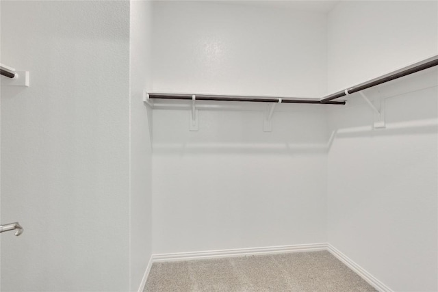 522 Ansley Ct, Taylor, TX 76574 - walk in closet with carpet