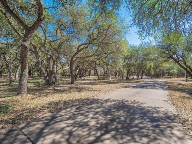 112 Twin Saddles, Dripping Springs, TX 78620 - photo 2