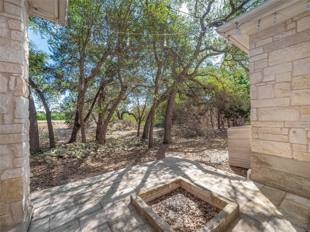 112 Twin Saddles, Dripping Springs, TX 78620 - photo 37