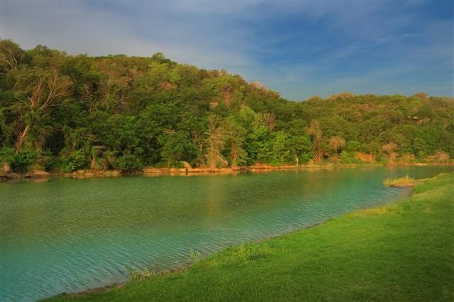 water view with a forest view