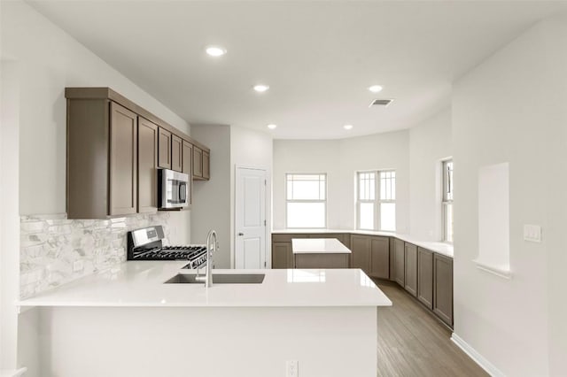 359 Witchhazel Way, San Marcos, TX 78666 - kitchen featuring stainless steel appliances, a peninsula, light wood-style flooring, a sink, and decorative backsplash