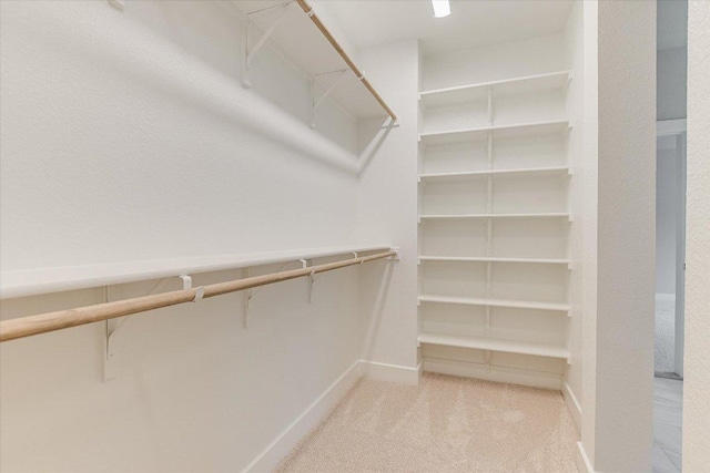 walk in closet with carpet