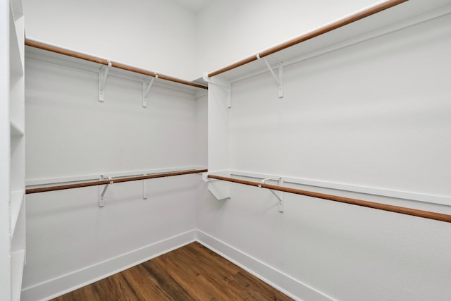 walk in closet featuring wood finished floors