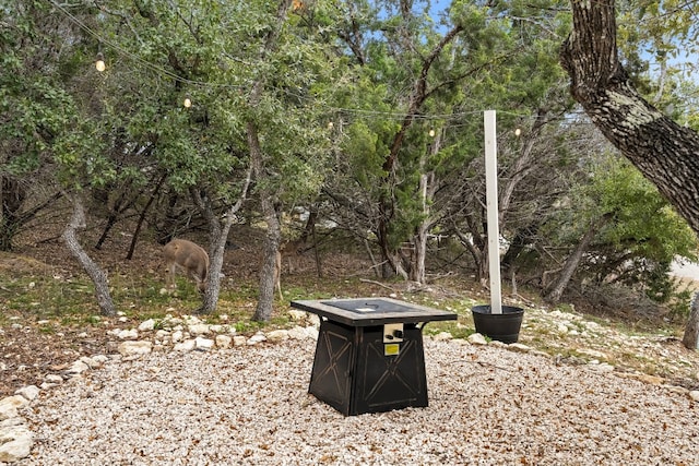 578 Firefly Dr, Canyon Lake, TX 78133 - exterior view