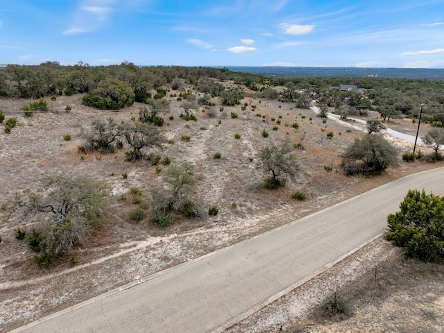 TBD Stone Ridge Mountain, Round Mountain, TX 78663 - photo 5