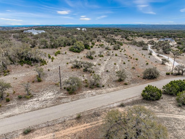 TBD Stone Ridge Mountain, Round Mountain, TX 78663 - photo 6