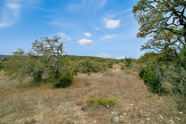 TBD Stone Ridge Mountain, Round Mountain, TX 78663 - photo 8