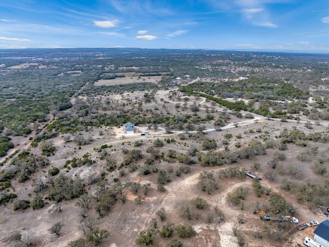 TBD Stone Ridge Mountain, Round Mountain, TX 78663 - photo 11