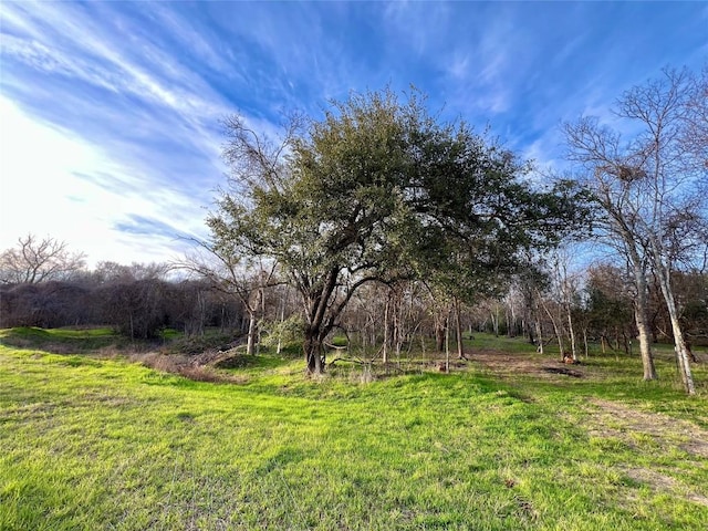 Listing photo 3 for 6244 County Road 114, Leesville TX 78122