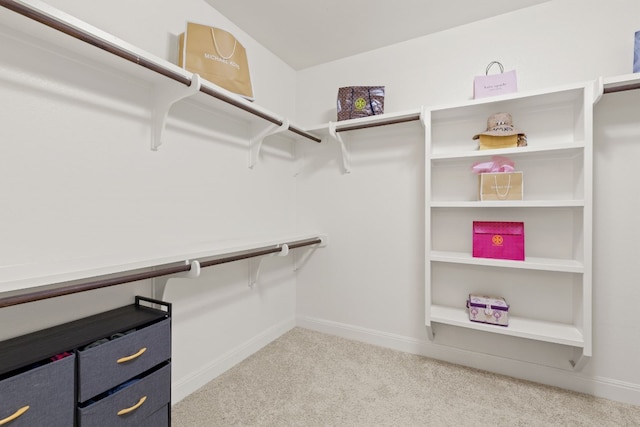 walk in closet featuring carpet floors