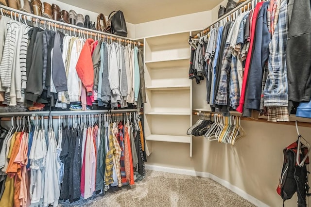 2405 Billy Pat Rd, Leander, TX 78641 - spacious closet with carpet