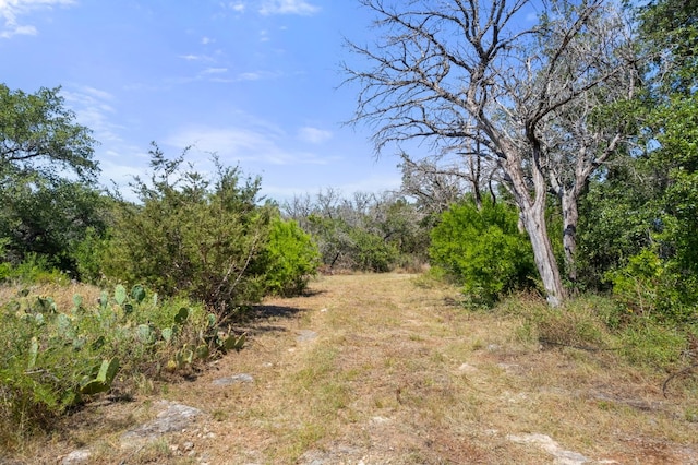 23601 Old Ferry Rd Unit 10, Spicewood, TX 78669 - photo 4