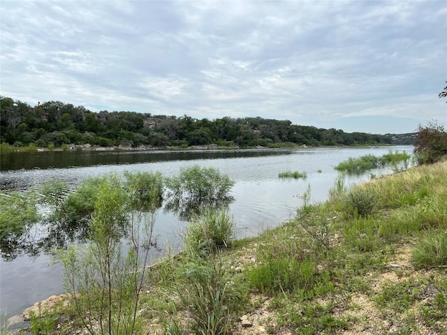 23601 Old Ferry Rd Unit 10, Spicewood, TX 78669 - photo 1