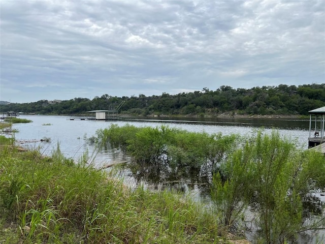 23601 Old Ferry Rd Unit 10, Spicewood, TX 78669 - photo 13