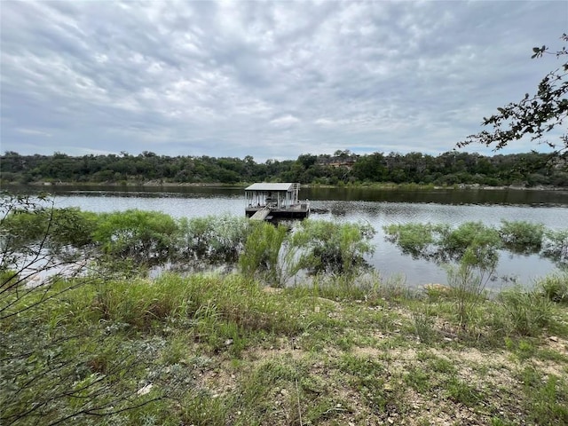 23601 Old Ferry Rd Unit 10, Spicewood, TX 78669 - photo 14