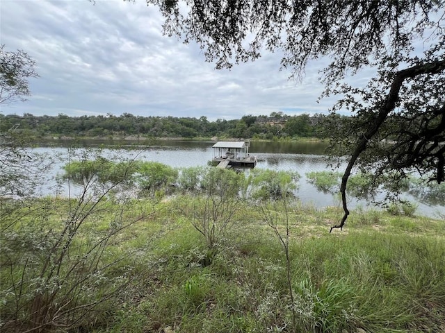 23601 Old Ferry Rd Unit 10, Spicewood, TX 78669 - photo 15