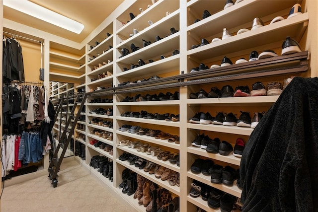 view of spacious closet