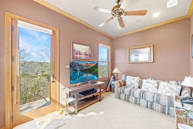 carpeted living area featuring a ceiling fan, visible vents, and crown molding