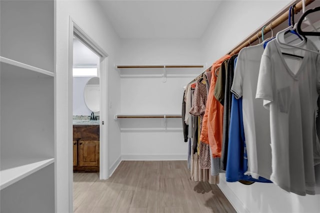 walk in closet with a sink and light wood finished floors