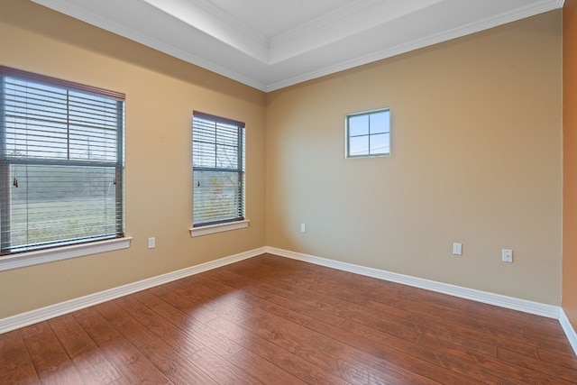 spare room with baseboards, a raised ceiling, wood finished floors, and crown molding