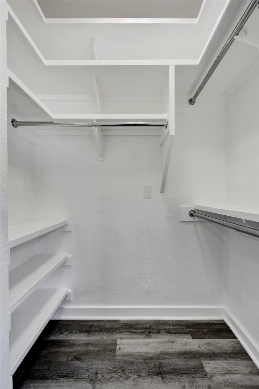 spacious closet with dark wood-type flooring