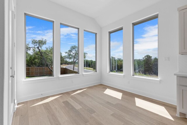 100 Wild Bluebell Cv, Georgetown, TX 78628 - unfurnished sunroom with wood finished floors, plenty of natural light, and vaulted ceiling