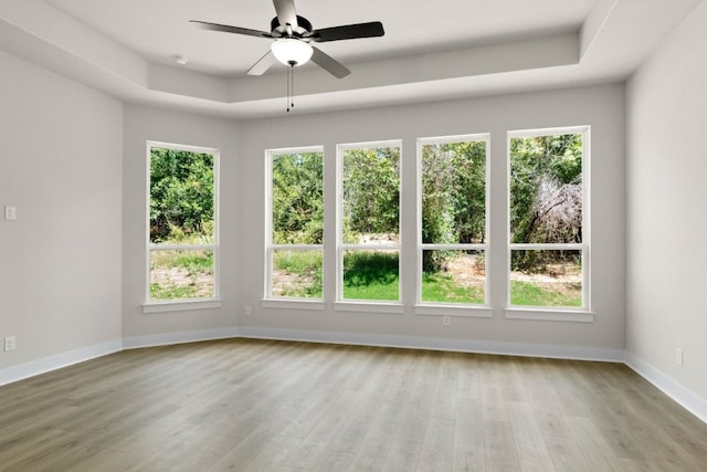 unfurnished room with light wood finished floors, a tray ceiling, and a wealth of natural light