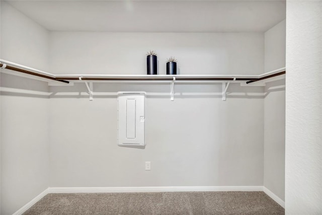 spacious closet featuring carpet floors and electric panel