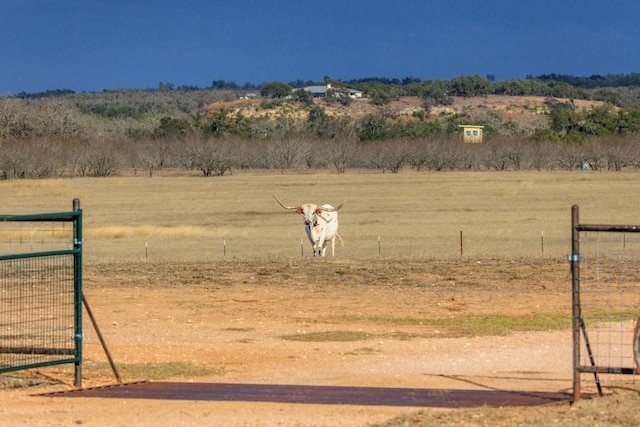 view of yard with a rural view and fence