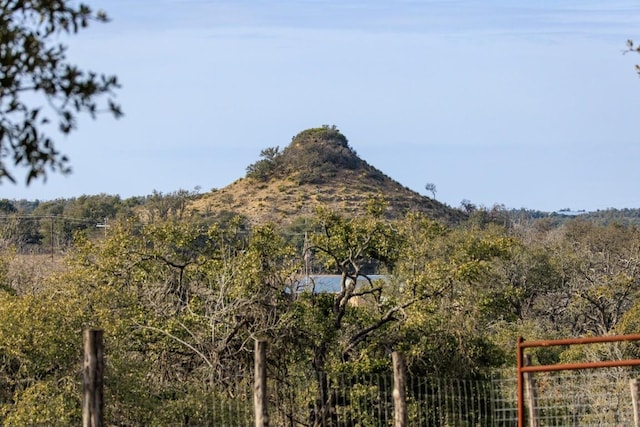 888 Dietrich Rd, Fredericksburg, TX 78624 - photo 28