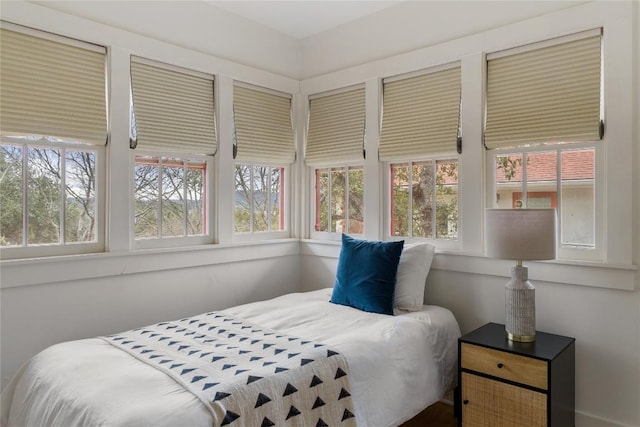 5242 Mccormick Mountain Dr Unit E, Austin, TX 78734 - bedroom featuring multiple windows
