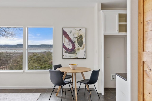 5242 Mccormick Mountain Dr Unit E, Austin, TX 78734 - dining space with dark tile patterned flooring and baseboards
