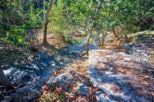 view of local wilderness