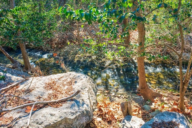 view of nature with a water view