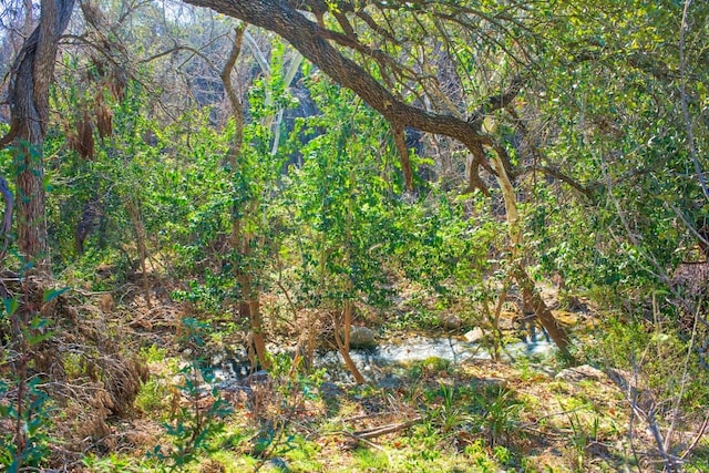 view of landscape with a view of trees