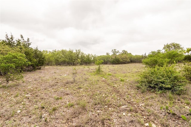 109 S Calvin Barrett, Blanco, TX 78606