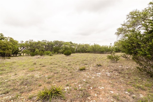 109 S Calvin Barrett, Blanco, TX 78606