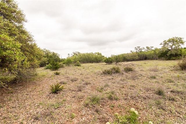 109 S Calvin Barrett, Blanco, TX 78606