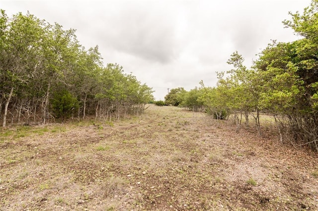 109 S Calvin Barrett, Blanco, TX 78606